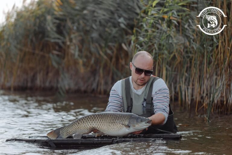 fishing sunglasses, fishing glasses, fishing sunglasses selection,