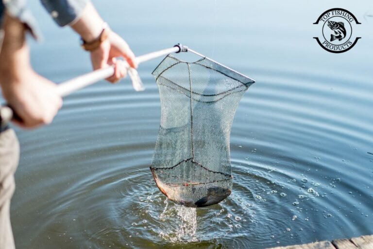 How to catch fish easily