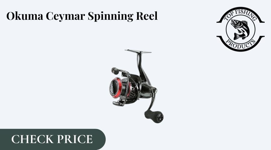 Good Cheap Baitcasting Reel