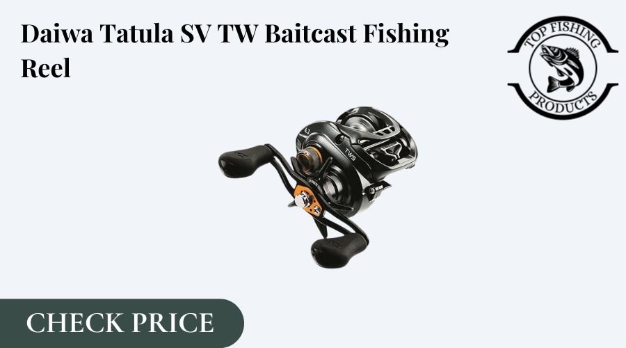 Best saltwater baitcasting reel for the money