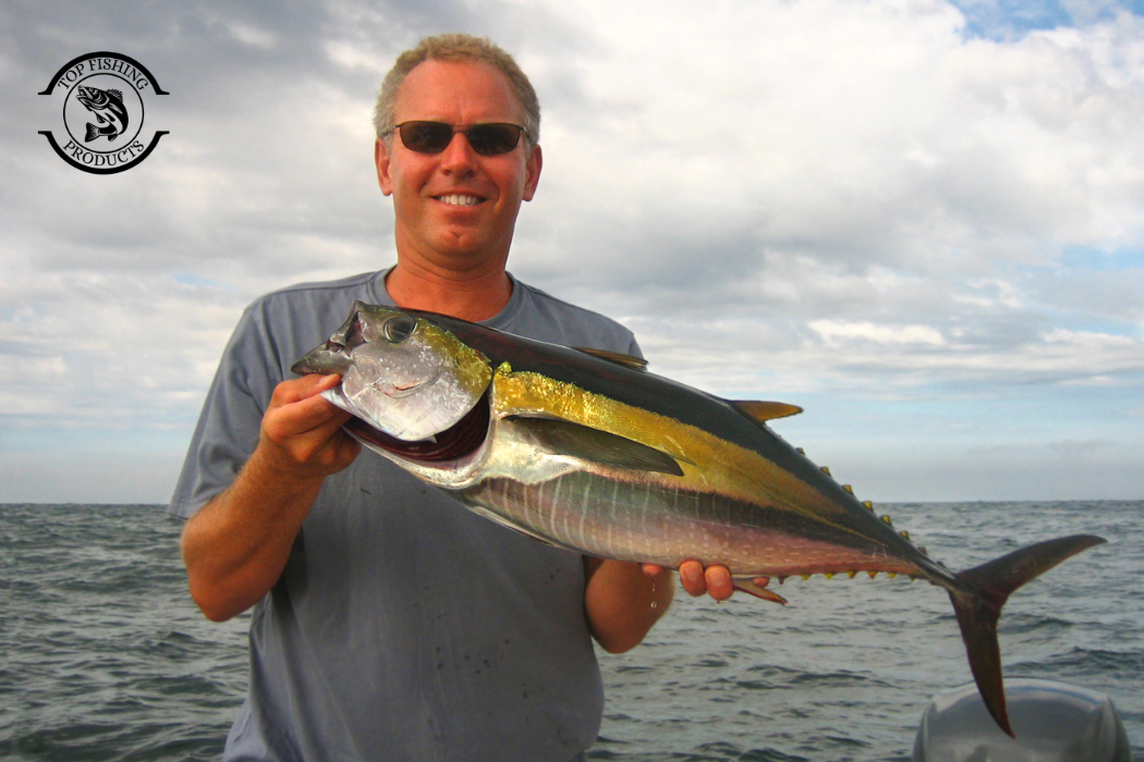 Tuna Fishing Techniques