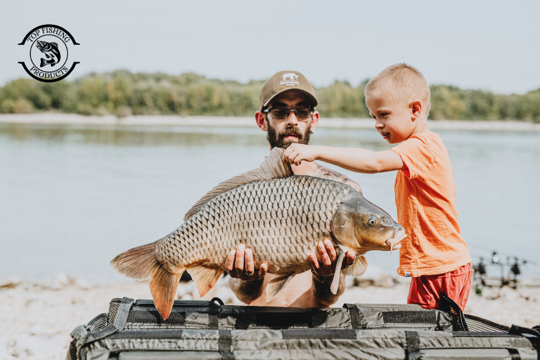Beginner Carp Fishing Guide