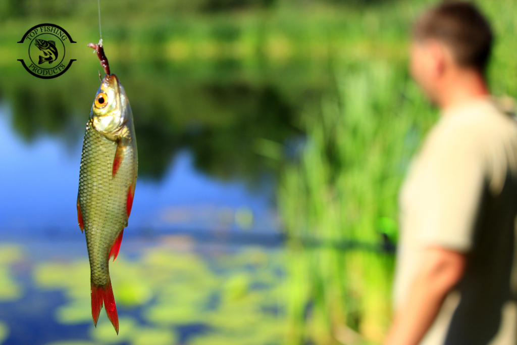How to Fish for Carp
