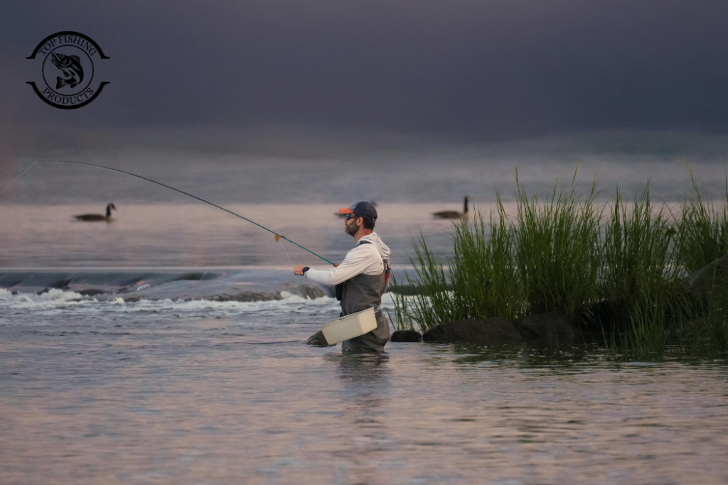 Using Waders for Flathead Fishing