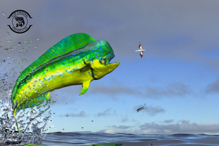 Mahi Mahi Fishing Techniques