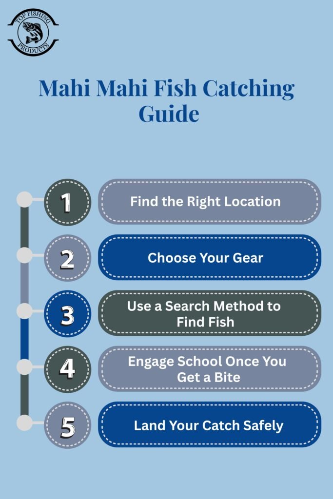 Mahi Mahi Fish Catching Guide