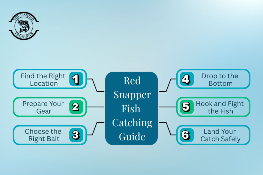 Red Snapper Fish Catching Guide