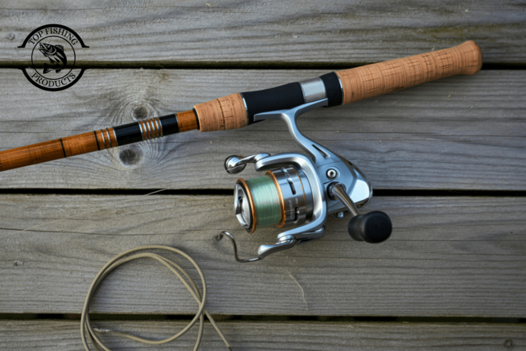 Choose the Right Fishing Rod and Reel