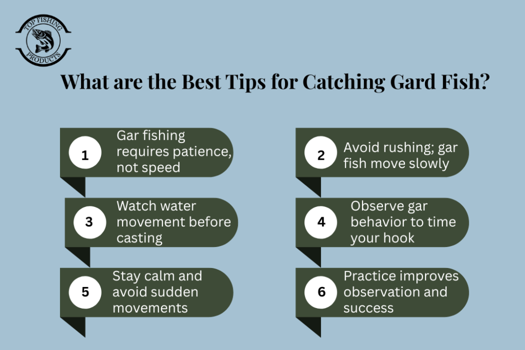 What are the Best Tips for Catching Gard Fish