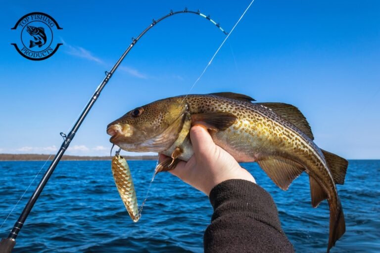 A Guide to Beach Fishing Rigs for Beginners