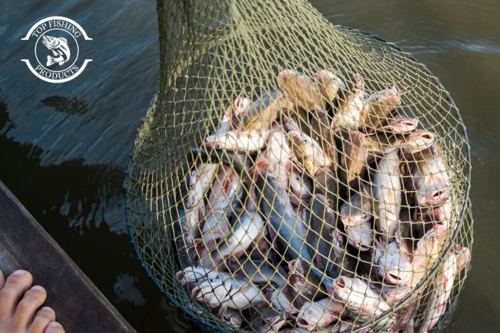 Test the Fishing Net for Strength