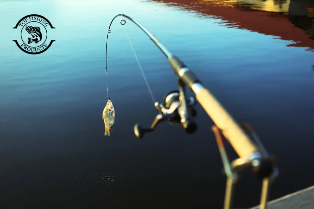 3. Spin Fishing