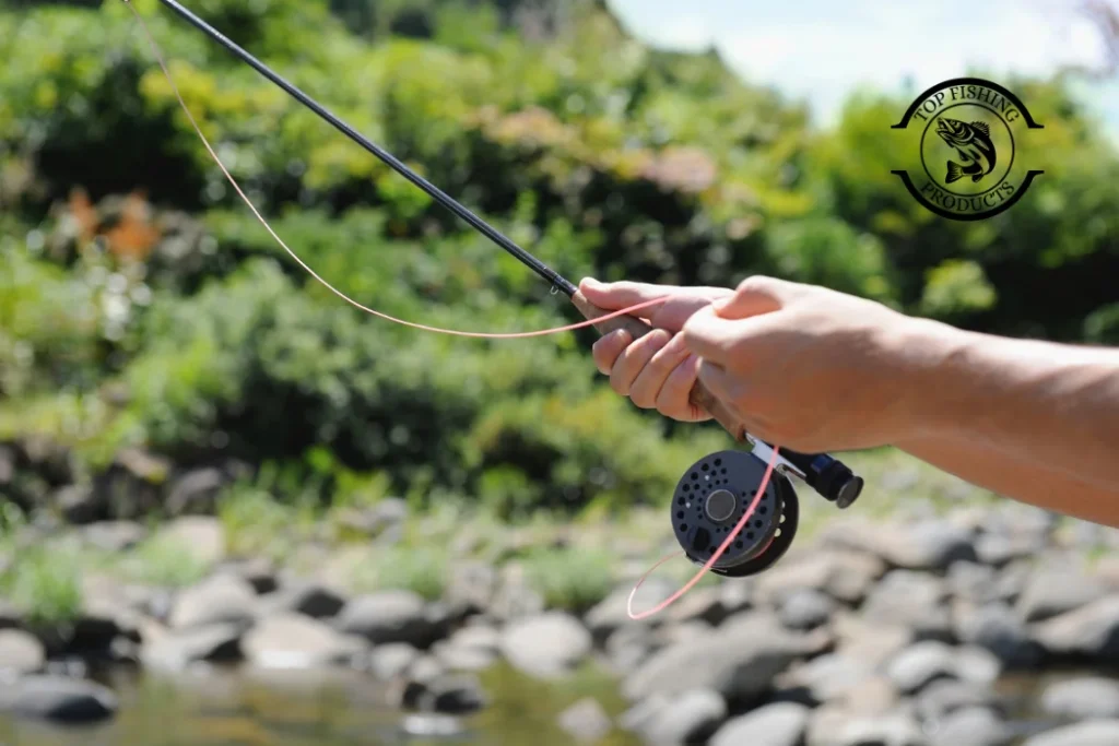 Building the Best Fly Fishing Setup for Beginners