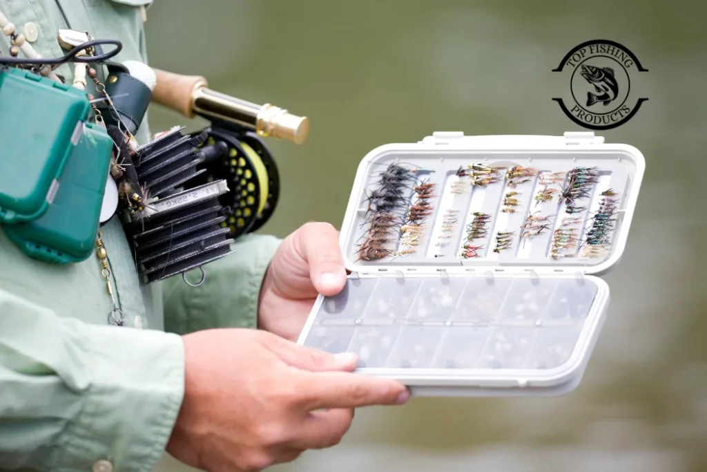 Fly Fishing and Ultralight Spinning