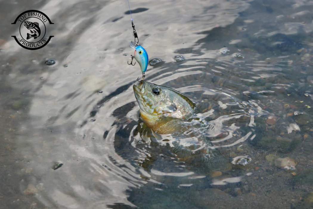 How to Fish With Crankbait
