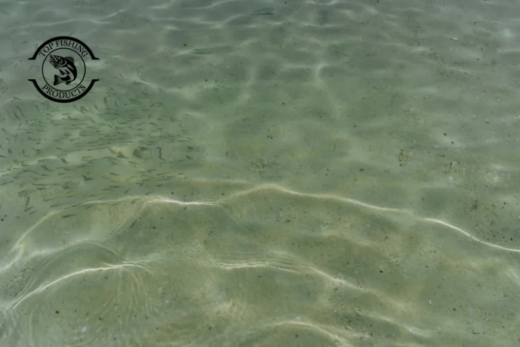 Unnatural sounds above the surface