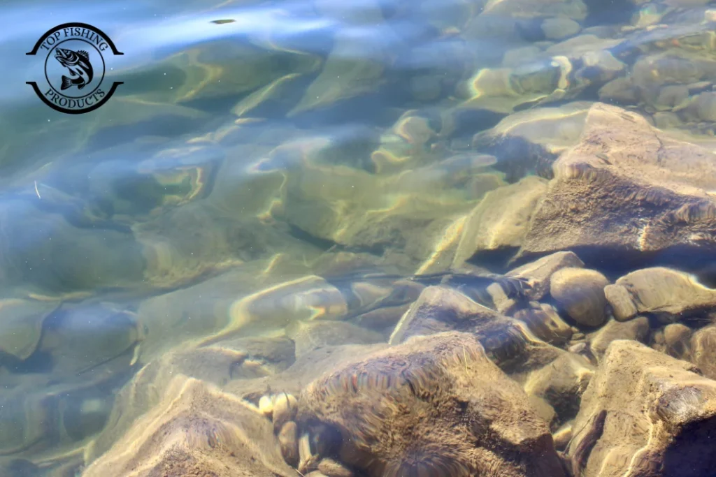 Water Clarity