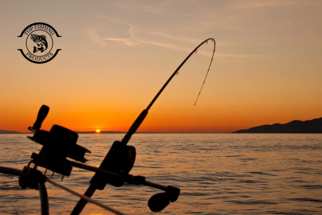 Bluegill Rig Setup Basic