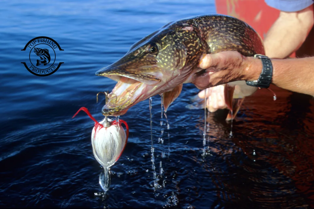 How to Catch Pike