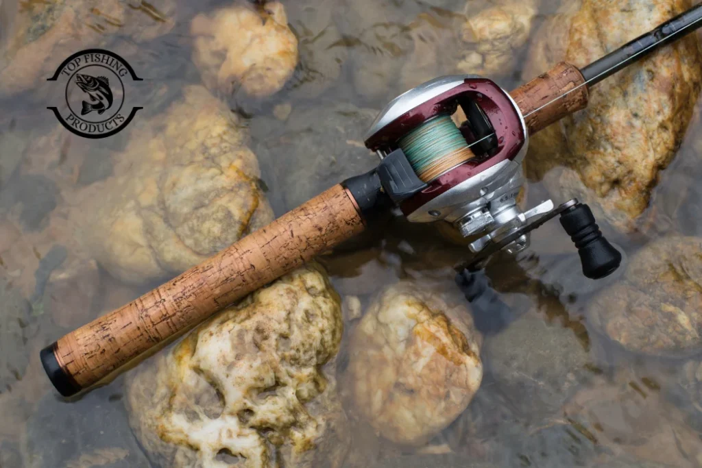 Rods and Reels
