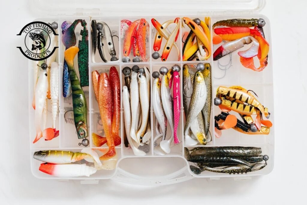 Best Fishing Supplies for Beginners_ Building a Starter Kit on a Budget