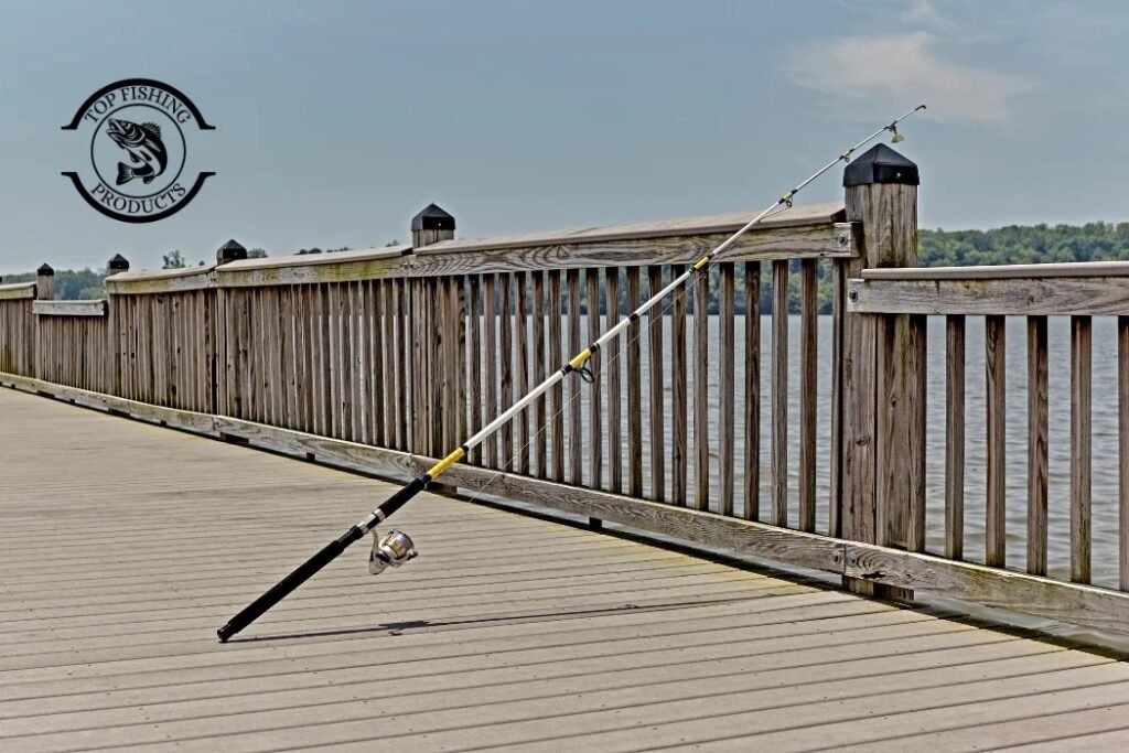 Best Fishing Poles for Beginners