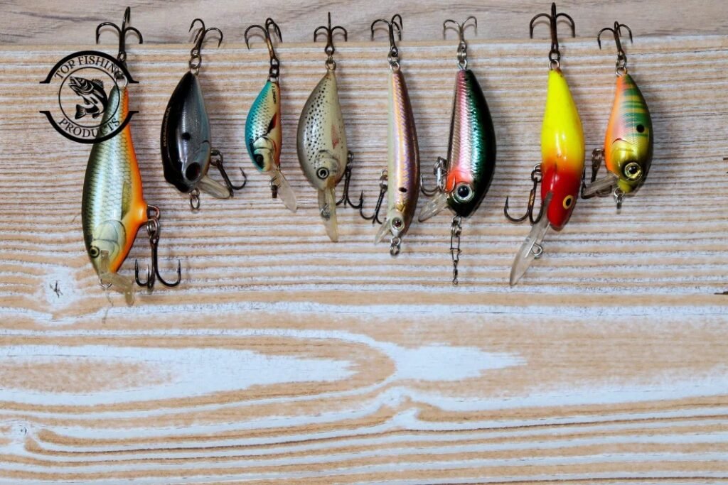 Bait and Lures_ Where to Start