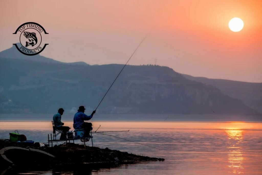 Why Fish Feed Differently After Dark