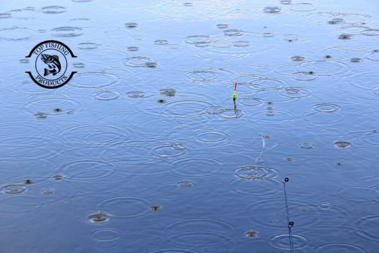 Fishing During Rain Tips