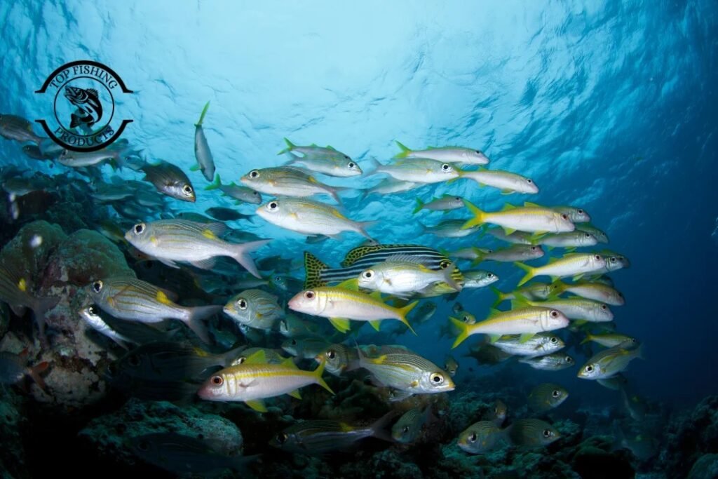 Fish Behavior During Pressure Changes