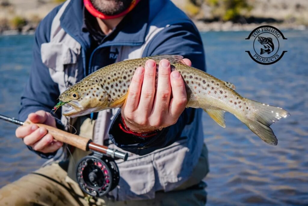 Find the Best Hook for Trout (feature image)