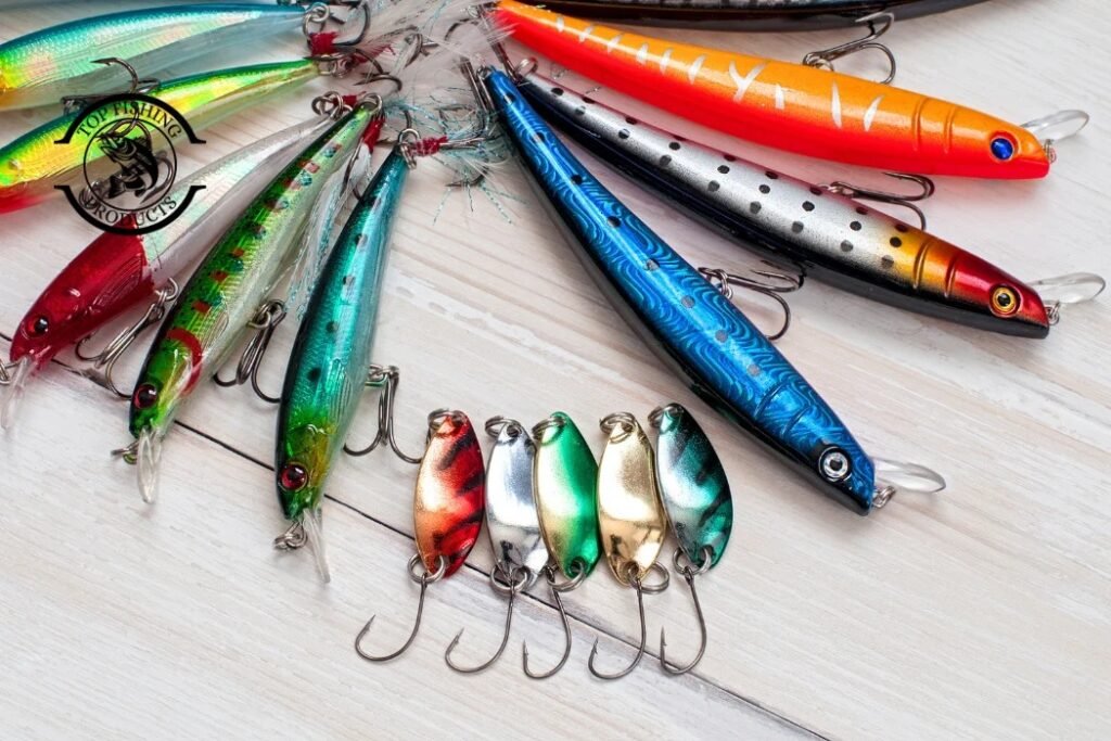 Why Hook Choice Matters More Than Most Anglers Think