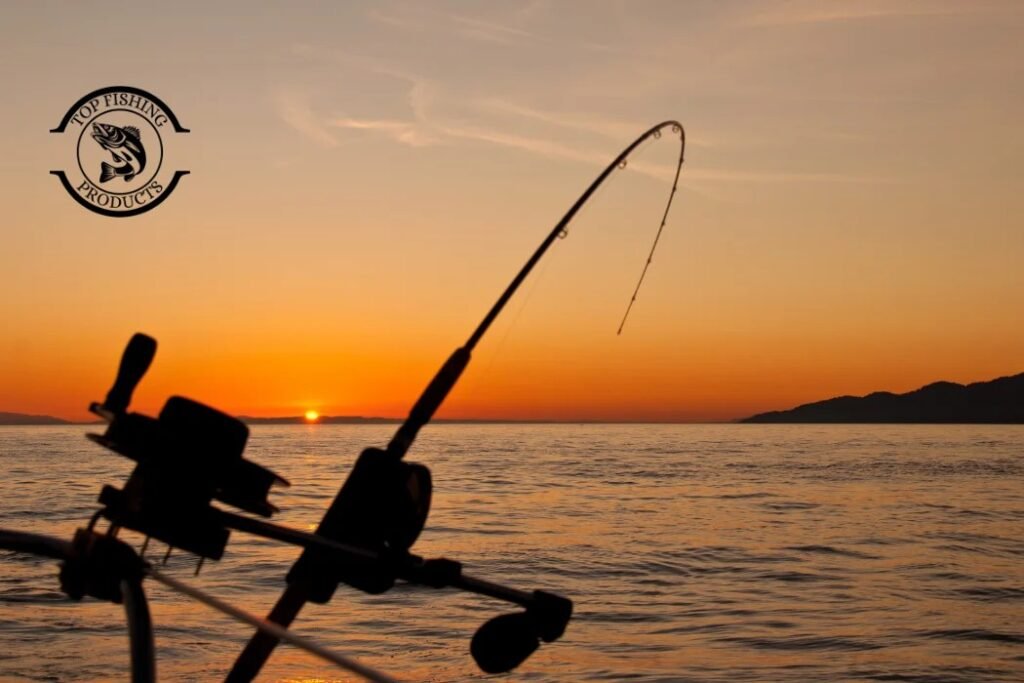 Black Sea Bass Fishing Rigs