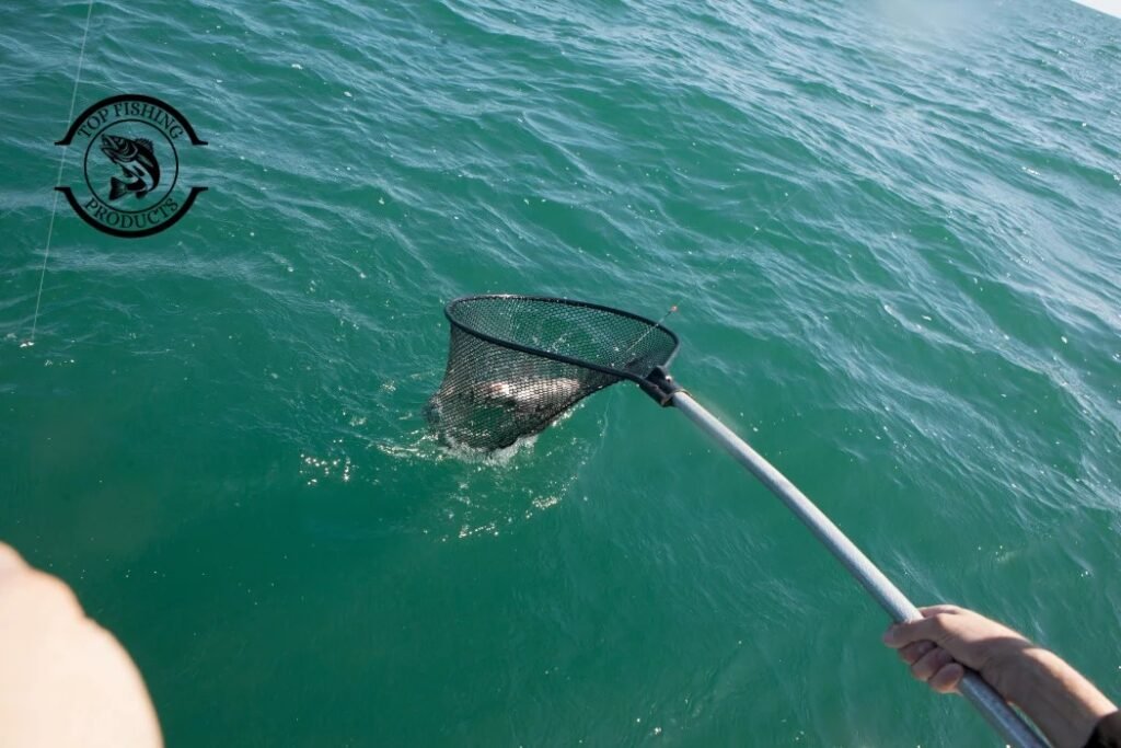 Sheepshead Fishing Techniques