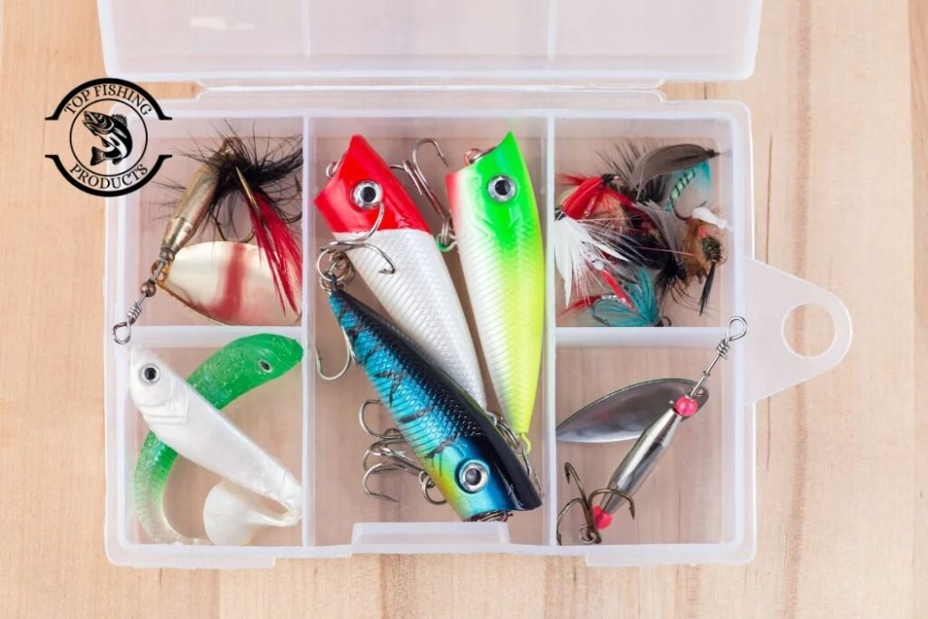 Best Bait for Black Drum