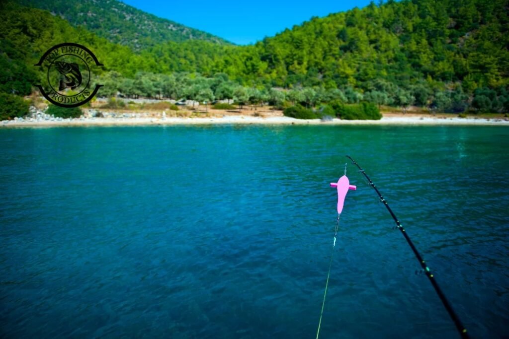 Catfish Rigs Setup